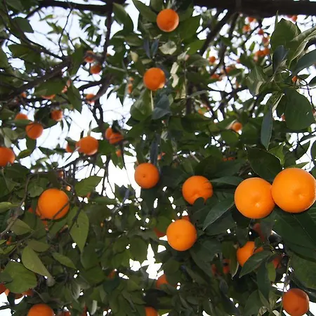 Metropol 23 Ostello Tirana