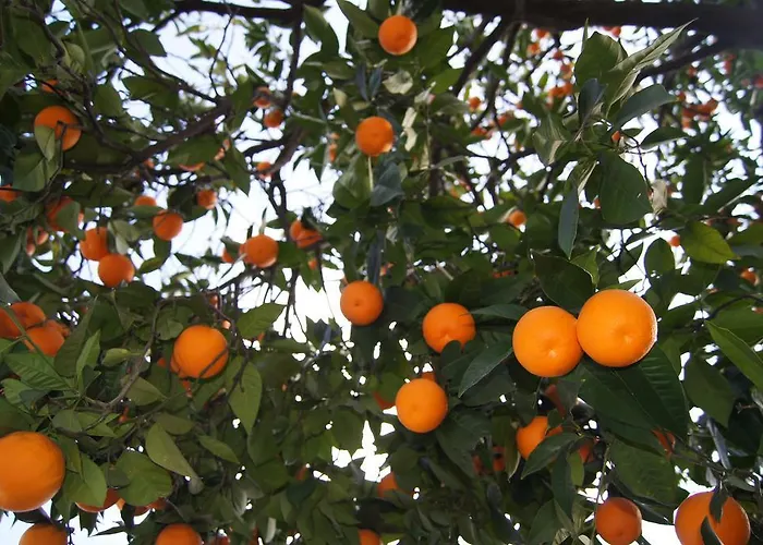 Metropol 23 Hostel Tirana